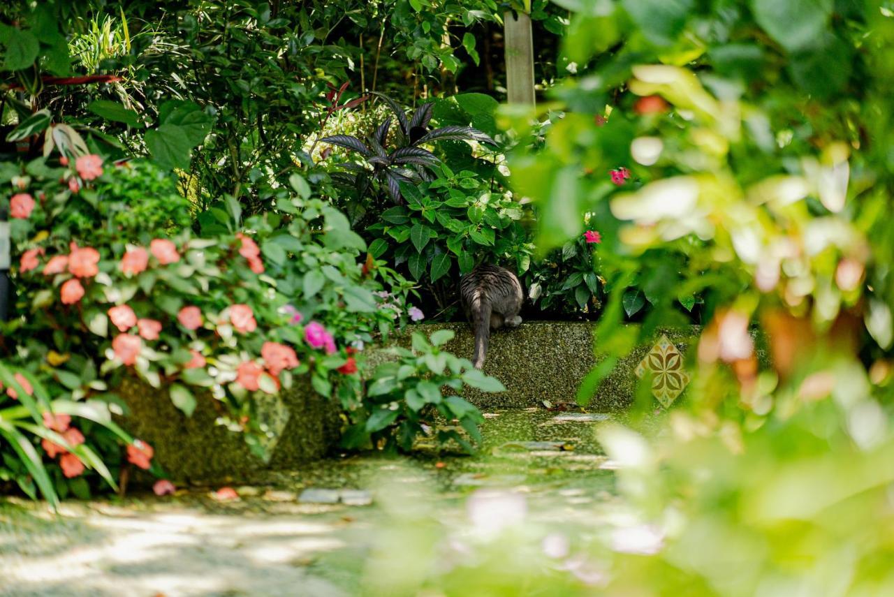 Olive Tree Village Guesthouse Nam Trang Ngoại thất bức ảnh